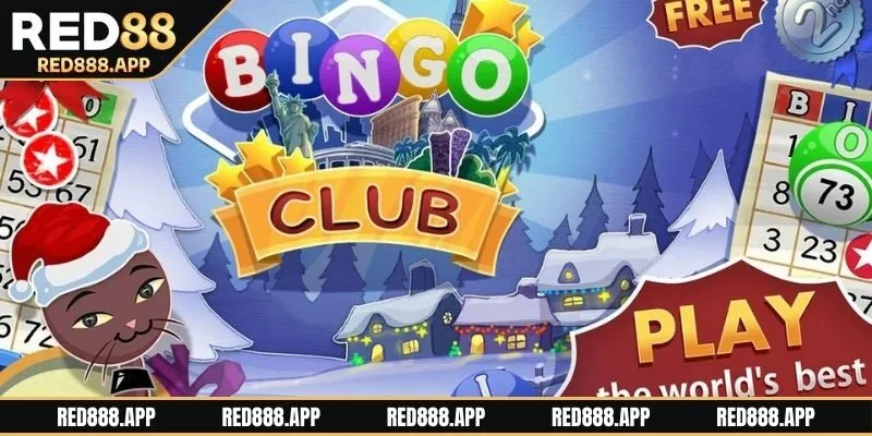 Thông tin về Bingo Club