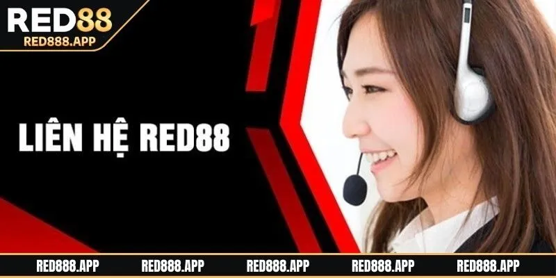 Tại sao việc liên hệ RED88 lại cần thiết và quan trọng?