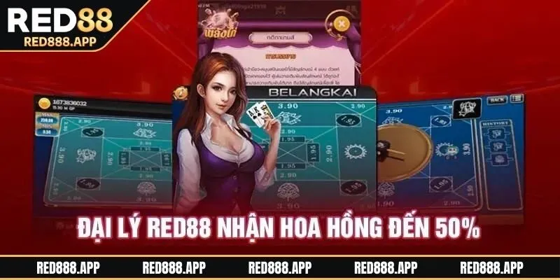 Thông tin chiết khấu hoa hồng