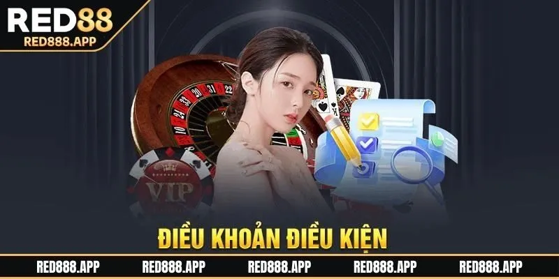 Nội dung quyền lợi quan trọng thuộc điều khoản điều kiện