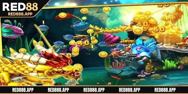 Hãy lên kế hoạch trước khi tham gia