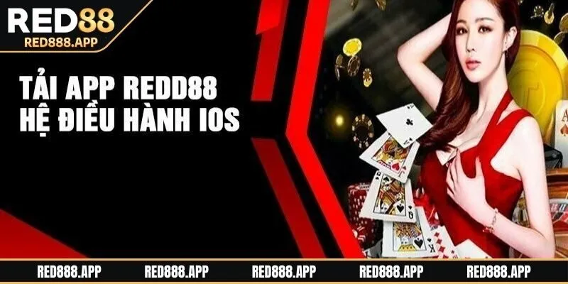Hướng dẫn tải app chi tiết với nhanh nhất