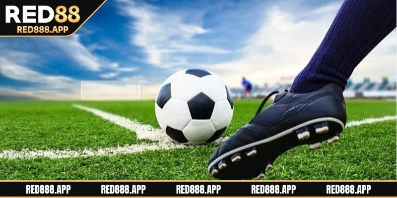 Những lưu ý khi soi kèo bóng đá