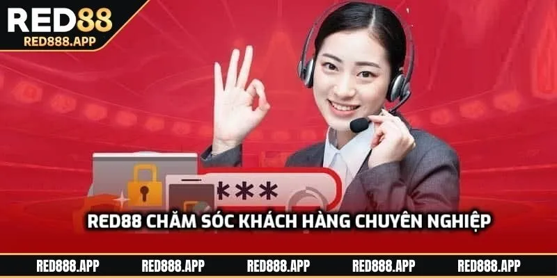 Đội ngũ nhân sự là điểm nổi bật khi giới thiệu RED88