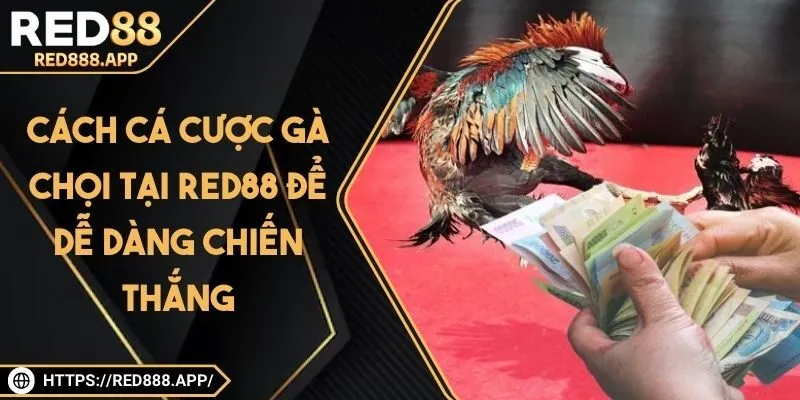 Kiên nhẫn khi tham gia chơi